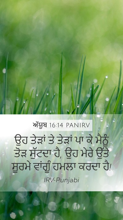 ਅੱਯੂਬ 16:14 PANIRV Bible Verse Image