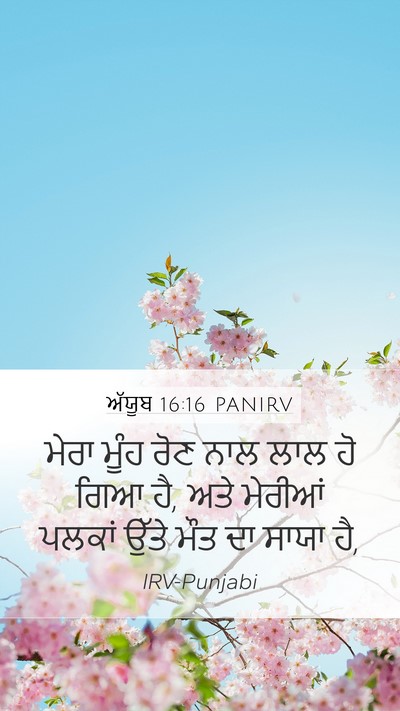 ਅੱਯੂਬ 16:16 PANIRV Bible Verse Image