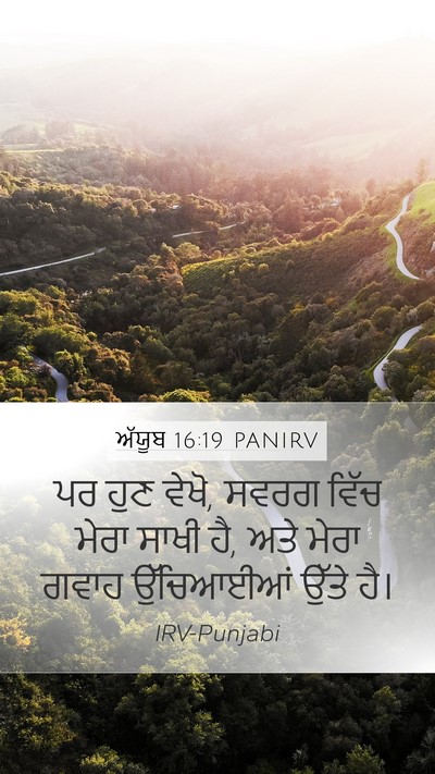 ਅੱਯੂਬ 16:19 PANIRV Bible Verse Image