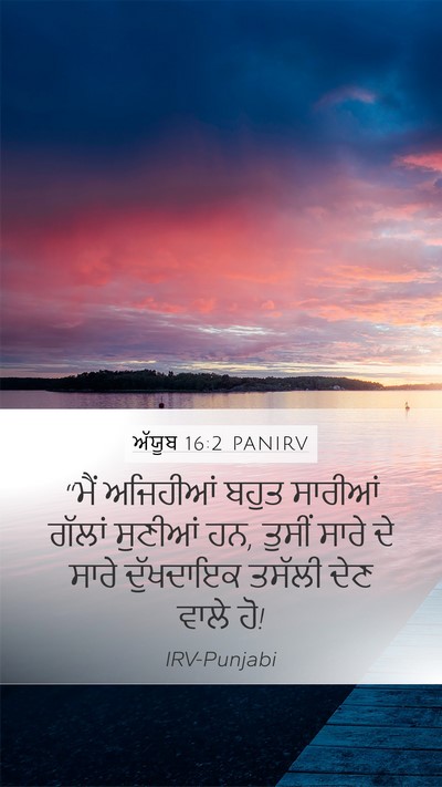 ਅੱਯੂਬ 16:2 PANIRV Bible Verse Image