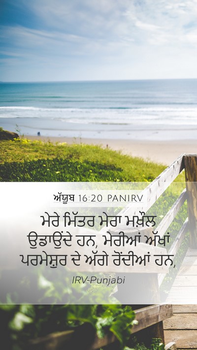 ਅੱਯੂਬ 16:20 PANIRV Bible Verse Image