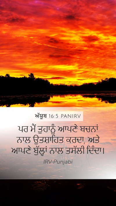ਅੱਯੂਬ 16:5 PANIRV Bible Verse Image