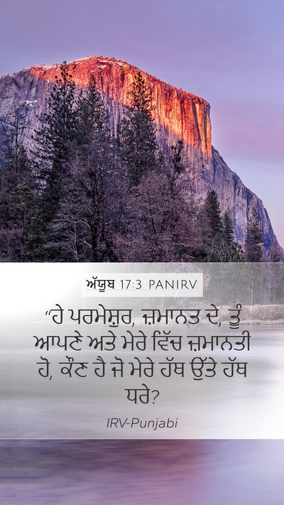 ਅੱਯੂਬ 17:3 PANIRV Bible Verse Image
