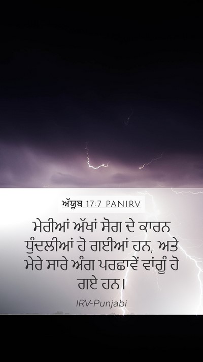 ਅੱਯੂਬ 17:7 PANIRV Bible Verse Image