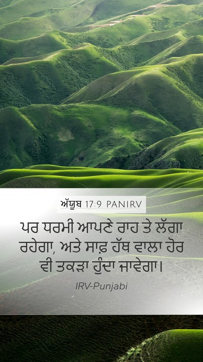 ਅੱਯੂਬ 17:9 PANIRV Bible Verse Image