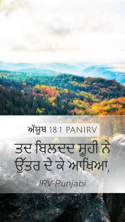 ਅੱਯੂਬ 18:1 PANIRV Mobile Phone Wallpaper - ਤਦ ਬਿਲਦਦ ਸ਼ੂਹੀ ਨੇ - Mobile Bible Verse Wallpaper