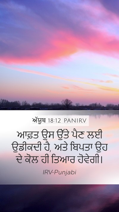 ਅੱਯੂਬ 18:12 PANIRV Bible Verse Image