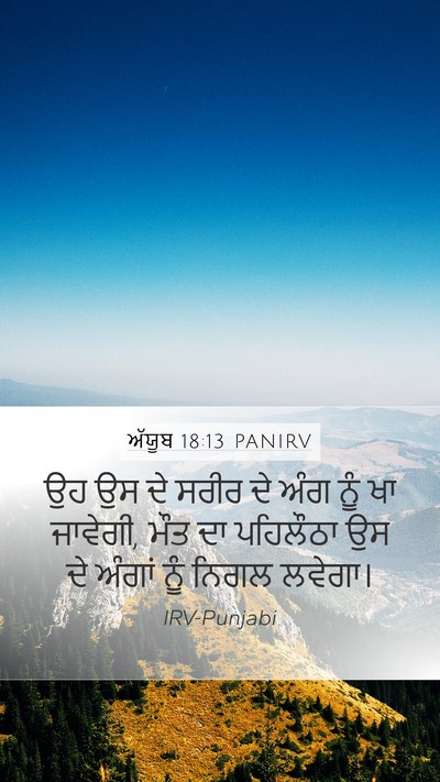 ਅੱਯੂਬ 18:13 PANIRV Bible Verse Image