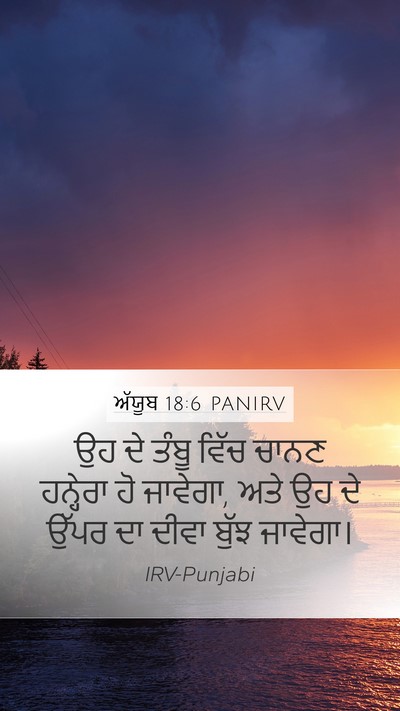 ਅੱਯੂਬ 18:6 PANIRV Bible Verse Image