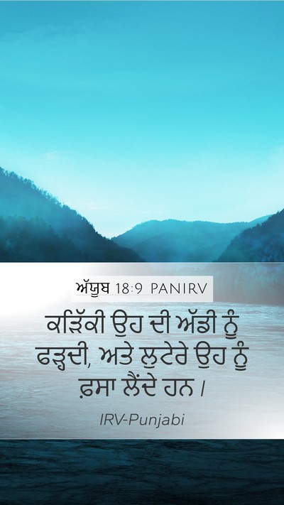 ਅੱਯੂਬ 18:9 PANIRV Bible Verse Image