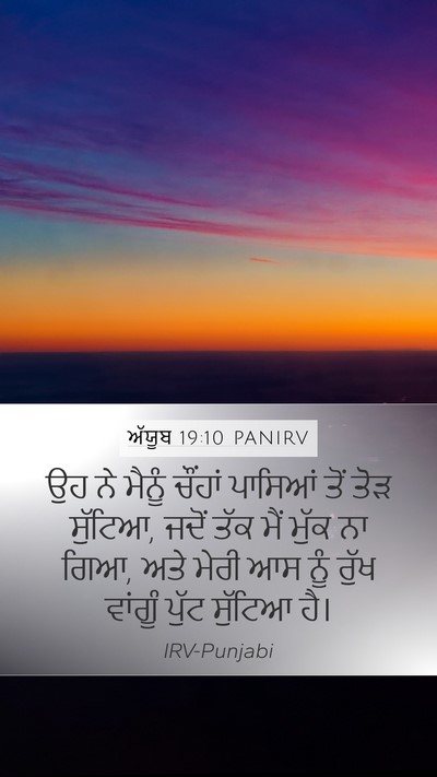 ਅੱਯੂਬ 19:10 PANIRV Bible Verse Image