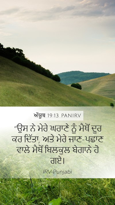 ਅੱਯੂਬ 19:13 PANIRV Bible Verse Image