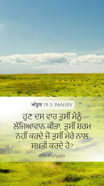ਅੱਯੂਬ 19:3 PANIRV Bible Verse Image