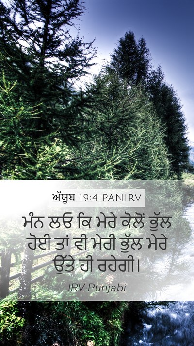 ਅੱਯੂਬ 19:4 PANIRV Mobile Phone Wallpaper - ਮੰਨ ਲਓ ਕਿ ਮੇਰੇ - Mobile Bible Verse Wallpaper