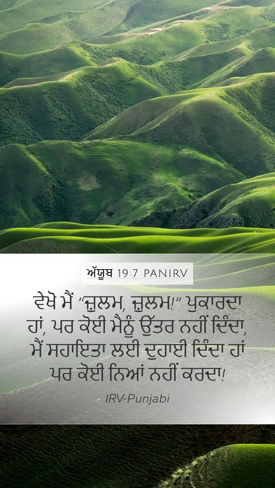 ਅੱਯੂਬ 19:7 PANIRV Bible Verse Image