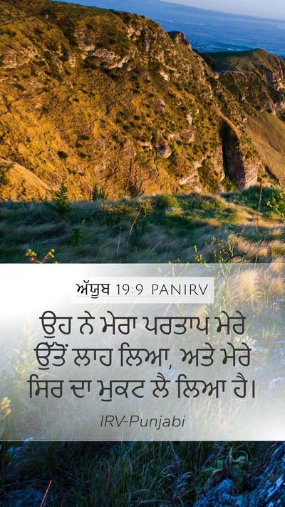 ਅੱਯੂਬ 19:9 PANIRV Bible Verse Image