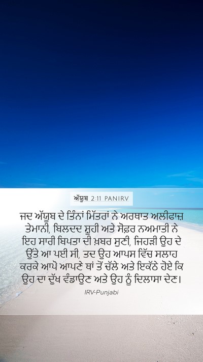 ਅੱਯੂਬ 2:11 PANIRV Bible Verse Image