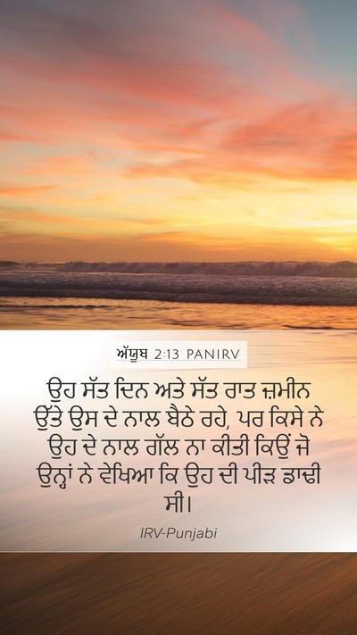 ਅੱਯੂਬ 2:13 PANIRV Bible Verse Image