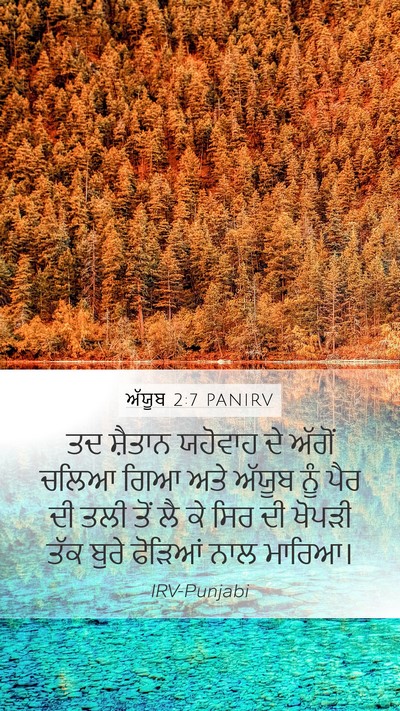ਅੱਯੂਬ 2:7 PANIRV Bible Verse Image