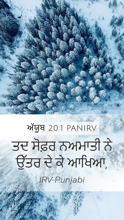 ਅੱਯੂਬ 20:1 PANIRV Bible Verse Image