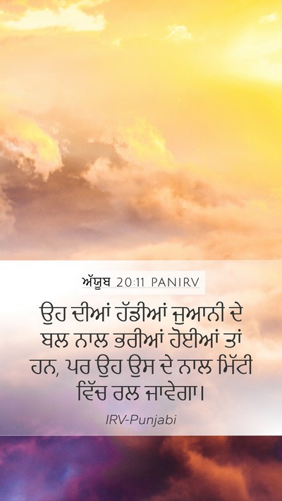 ਅੱਯੂਬ 20:11 PANIRV Bible Verse Image