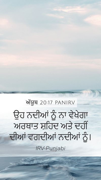 ਅੱਯੂਬ 20:17 PANIRV Bible Verse Image