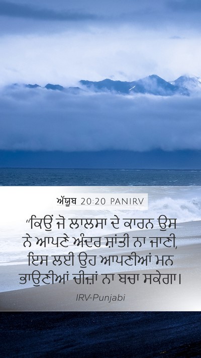 ਅੱਯੂਬ 20:20 PANIRV Bible Verse Image