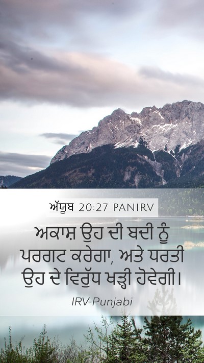ਅੱਯੂਬ 20:27 PANIRV Bible Verse Image
