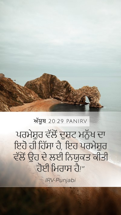 ਅੱਯੂਬ 20:29 PANIRV Bible Verse Image