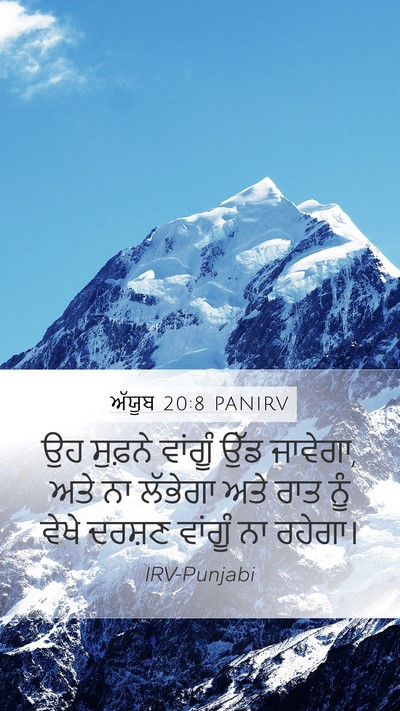 ਅੱਯੂਬ 20:8 PANIRV Bible Verse Image