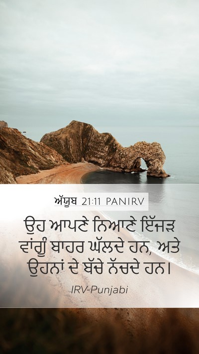 ਅੱਯੂਬ 21:11 PANIRV Bible Verse Image