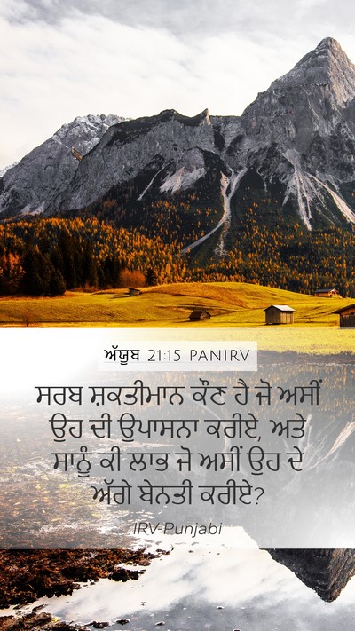 ਅੱਯੂਬ 21:15 PANIRV Bible Verse Image