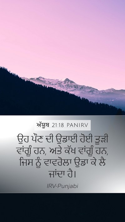 ਅੱਯੂਬ 21:18 PANIRV Bible Verse Image
