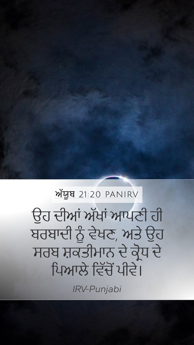 ਅੱਯੂਬ 21:20 PANIRV Bible Verse Image