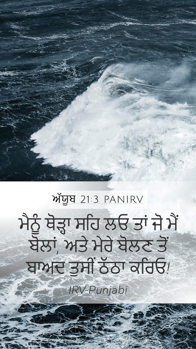ਅੱਯੂਬ 21:3 PANIRV Bible Verse Image