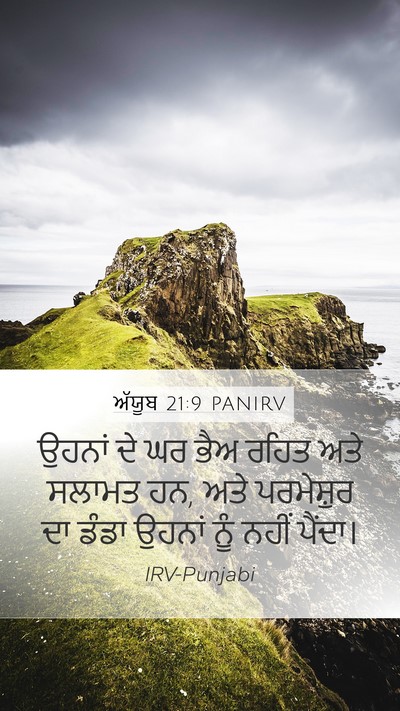 ਅੱਯੂਬ 21:9 PANIRV Bible Verse Image