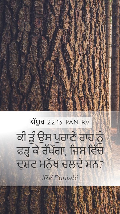 ਅੱਯੂਬ 22:15 PANIRV Bible Verse Image