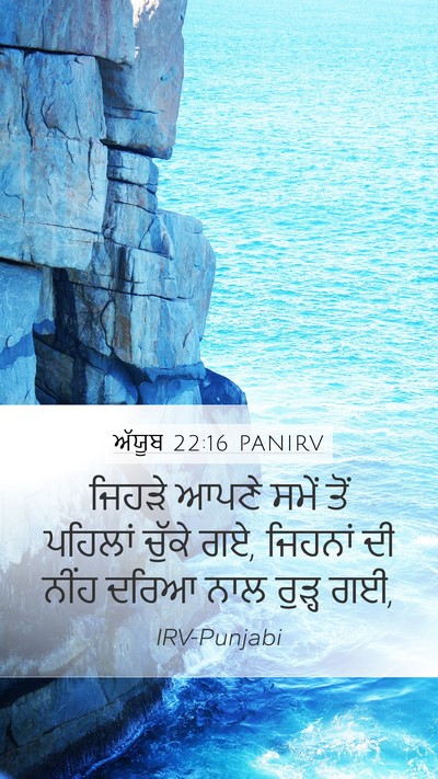 ਅੱਯੂਬ 22:16 PANIRV Bible Verse Image