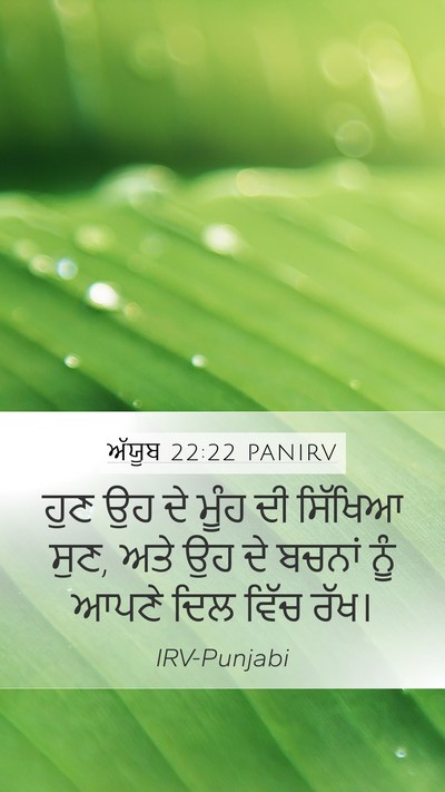 ਅੱਯੂਬ 22:22 PANIRV Bible Verse Image