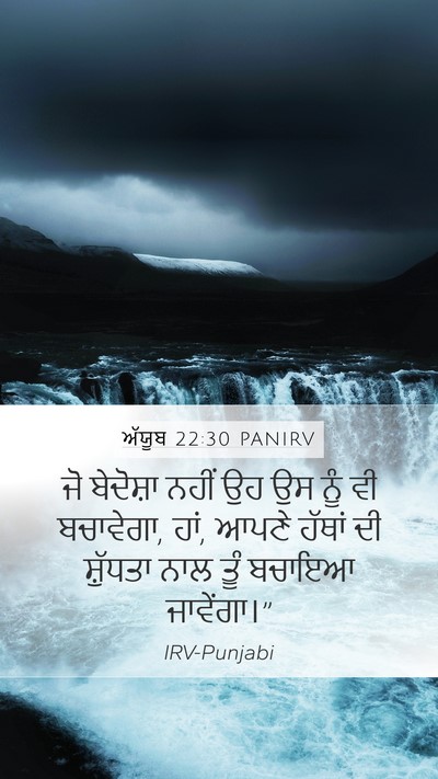 ਅੱਯੂਬ 22:30 PANIRV Bible Verse Image