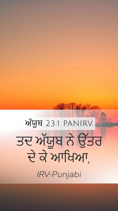ਅੱਯੂਬ 23:1 PANIRV Mobile Phone Wallpaper - ਤਦ ਅੱਯੂਬ ਨੇ ਉੱਤਰ ਦੇ - Mobile Bible Verse Wallpaper