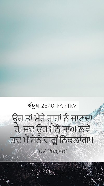 ਅੱਯੂਬ 23:10 PANIRV Bible Verse Image