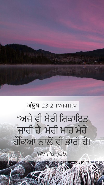 ਅੱਯੂਬ 23:2 PANIRV Bible Verse Image
