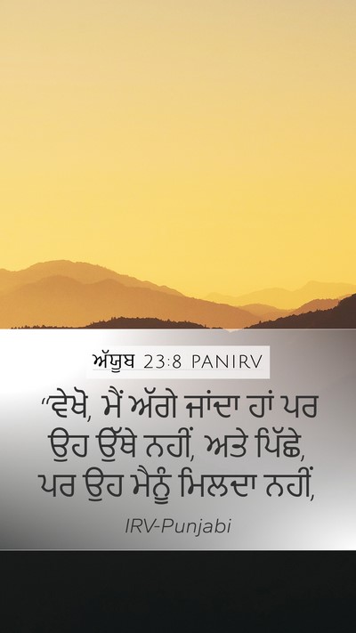 ਅੱਯੂਬ 23:8 PANIRV Bible Verse Image
