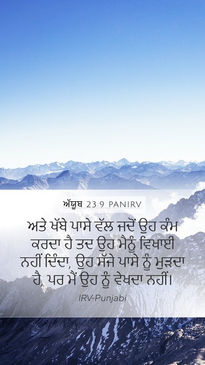 ਅੱਯੂਬ 23:9 PANIRV Bible Verse Image
