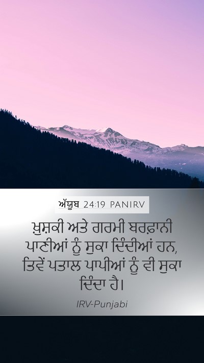 ਅੱਯੂਬ 24:19 PANIRV Bible Verse Image