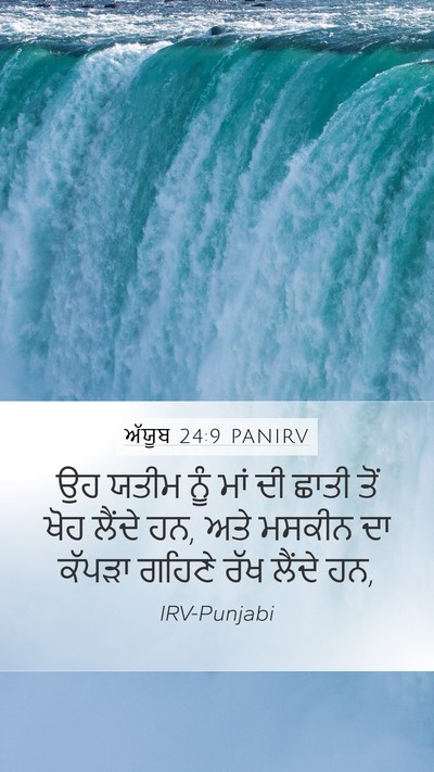ਅੱਯੂਬ 24:9 PANIRV Bible Verse Image