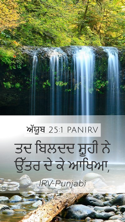 ਅੱਯੂਬ 25:1 PANIRV Bible Verse Image