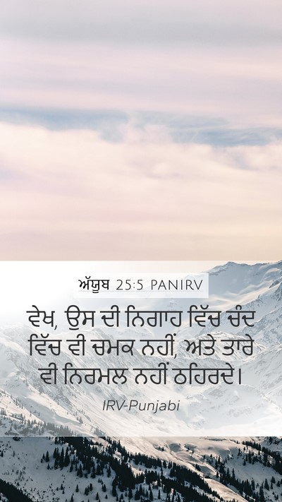 ਅੱਯੂਬ 25:5 PANIRV Bible Verse Image