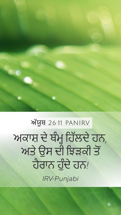 ਅੱਯੂਬ 26:11 PANIRV Bible Verse Image